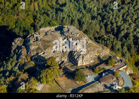 Luftbild, Regenstein Castello e fortezza, Am Platenberg, Blankenburg (Harz), Blankenburg, Paderborn, Sassonia-Anhalt, Germania, Europa ,, DEU, Europa, bi Foto Stock