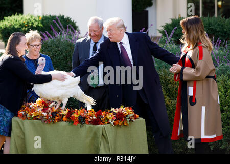 Washington, Stati Uniti d'America. Xx Nov, 2018. Stati Uniti Presidente Donald Trump (seconda R) partecipa alla Nazionale del Ringraziamento Turchia perdonare cerimonia al Giardino delle Rose della Casa Bianca di Washington, DC, Stati Uniti, su nov. 20, 2018. Credito: Ting Shen/Xinhua/Alamy Live News Foto Stock