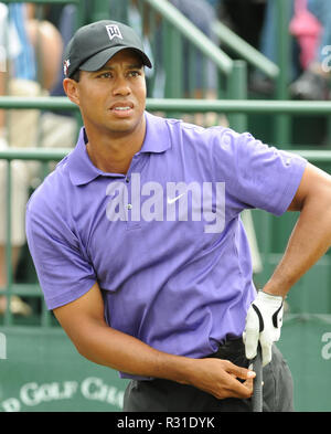 DORAL FL - MARZO 13 : golfista Tiger Woods svolge durante il secondo round del campionato di CA detenute al Doral Resort & Spa il 13 marzo 2009 a Miami in Florida. Persone: Tiger Woods Foto Stock