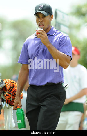 DORAL FL - MARZO 13 : golfista Tiger Woods svolge durante il secondo round del campionato di CA detenute al Doral Resort & Spa il 13 marzo 2009 a Miami in Florida. Persone: Tiger Woods Foto Stock