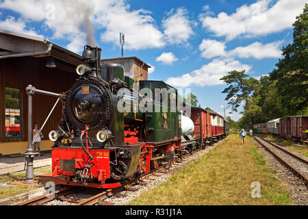 Treno a vapore Sauerländer Kleinbahn, linea a scartamento ridotto, stazione Hüinghausen, Herscheid, Sauerland, Renania settentrionale-Vestfalia Foto Stock