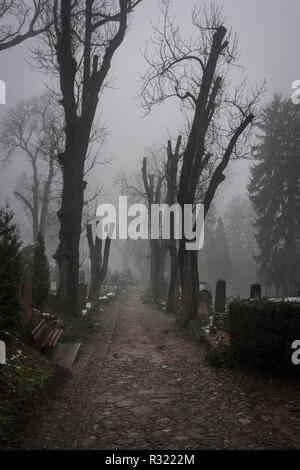 La nebbia in creepy cimitero di Sighisoara, Romania Foto Stock