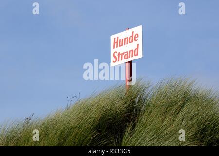 Cane vacanza sulla spiaggia del cane Foto Stock