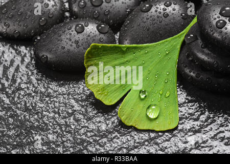 Piani medici al benessere con ginkgo Foto Stock