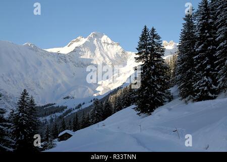 Escursioni invernali il percorso ob elm Foto Stock