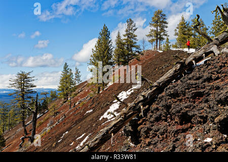 Donna 42,835.02083 escursionismo Alto di ripida Red & Black cono di scorie, Ponderosa pine trees (Pinus ponderosa), morto log lieve neve, cielo blu bianco delle nuvole Foto Stock