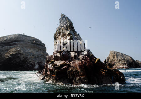 Isola Ballestas o povero uomo del Galapagos nella Baia di Paracas, Perù Foto Stock