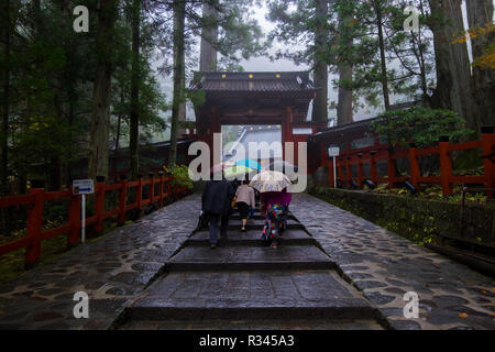 Un gruppo di persone con ombrelloni a piedi sotto la pioggia sul sentiero fino al Nikko Futarasan jinja area in Nikko, Giappone. Foto Stock