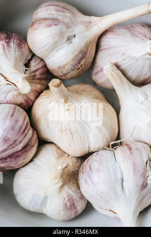 Close up di ripe teste d'aglio in ceramica bianca ciotola Foto Stock