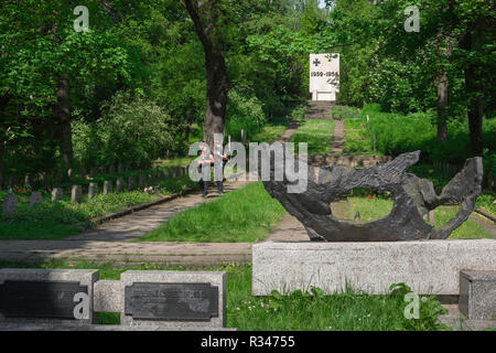 Cimitero di Poznan, vista di due giovani uomini nella cittadella di Poznan Cimitero Parco guardando le tombe di soldati polacchi uccisi in WWII, Poznan, Polonia. Foto Stock