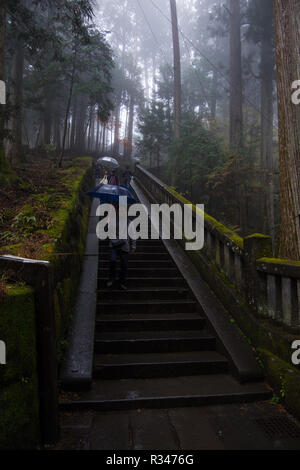 La gente camminare con gli ombrelli sotto la pioggia e nebbia sulle scale che conducono alla Kanosugi a Toshogu in Nikko, Giappone. Foto Stock