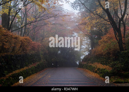 Una piccola strada in Nikko Giappone con pieno Autunno a colori e rotazione di foglie su un nebbioso e nebbioso giorno. Foto Stock