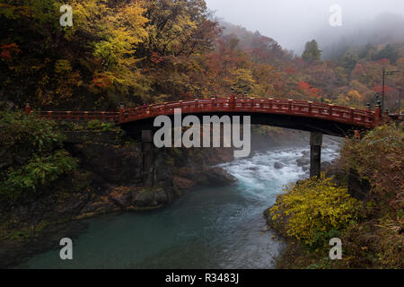 Guardando lo splendido ponte Shinkyo in Nikko, Giappone in una nebbiosa, cadono giorno con picco di Autunno a colori. Foto Stock