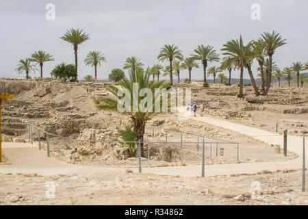 5 maggio 2018 i turisti a piedi attraverso gli alberi di palme e visualizzare le rovine della città antica di Meggido nel nord di Israele. Questo posto è altrimenti noto come Foto Stock