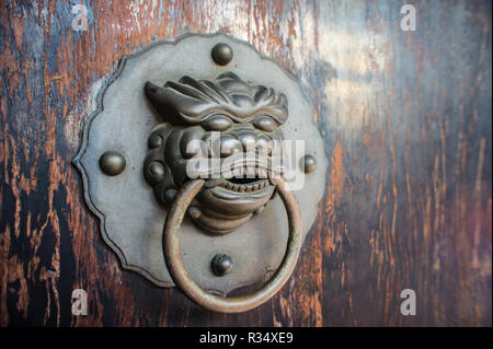 Lion masaneta ornamento Foto Stock