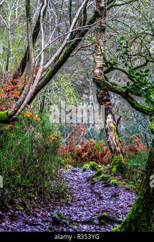 Il wrekin in TELFORD SHROPSHIRE Foto Stock