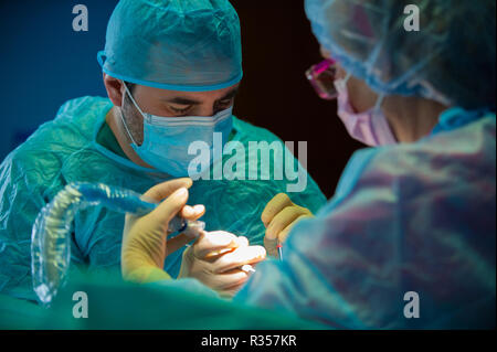 Dentista e assistente lavorando in cooperazione nel teatro operativo Foto Stock