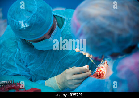 Dentista nel teatro operativo lavorando su un paziente, una persona Foto Stock