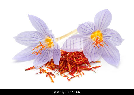 Lo zafferano con fiore Crocus isolati su sfondo bianco Foto Stock