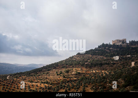 Il castello di Ajloun sulla cima di Jebel Ajloun nel nord della Giordania. Foto Stock