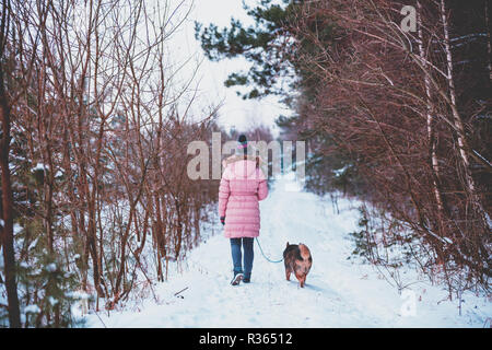 Giovane donna con il cane passeggiate nella neve pineta in inverno Foto Stock