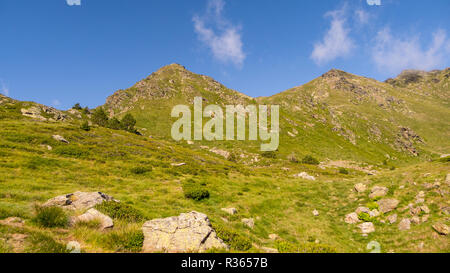 Montagna Verde in Tristaina, Ordino. Andorra Foto Stock