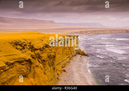 Giallo scogliere a Paracas riserva nazionale in Perù: la costiera deserto paesaggio di Paracas Riserva Nazionale nei pressi di Ica è un impressionante destinazione in P Foto Stock