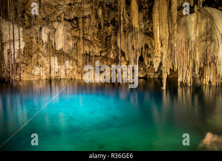 Dripstones in XKeken Cenote Dzitnup nel vicino a Valladolid, Yucatan, Messico: Yucatans sinkholes includono cristalline acque turchesi e sono collegati da Foto Stock