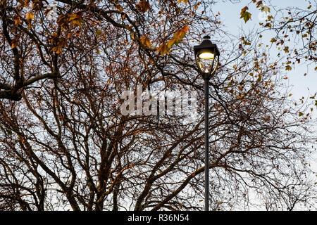 Via la luce e un albero con i suoi ultimi lascia su di una sera d'autunno. Nottingham, Inghilterra, Regno Unito Foto Stock