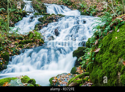 Il flusso o beck tumbling fino al Lago di Windermere attraverso la massa di Miller nel Parco Nazionale del Distretto dei Laghi Foto Stock