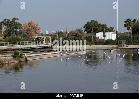 Vista di Shafdan impianto di trattamento delle acque reflue, Israele principale di trattamento delle acque reflue struttura situata vicino a Rishon LeZionon il 21 novembre 2018. Shafdan tratta delle acque reflue municipali dalla maggiore zona di Tel Aviv, mediante un processo multi-fase che comprende la filtrazione di base e trattamenti biologici chiamato terreno di trattamento della falda acquifera (SAT) per creare il riutilizzo della qualità di acque reflue, che viene utilizzato per l'irrigazione in Israele. Il paese soddisfi oltre l'80% delle sue esigenze di irrigazione dal trattamento acque reflue Foto Stock