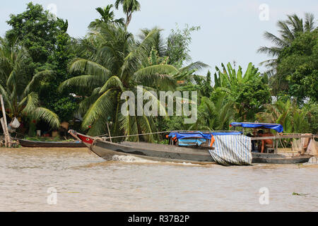 Il fiume Mekong (Sông Mỹ Tho branch) al Con Quy (Isola della Tartaruga), Bến Tre Provincia, Viet Nam Foto Stock