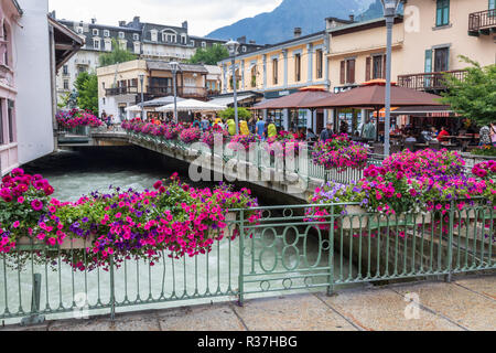 Fiori lungo le rive del fiume Arve come fluisce attraverso il centro di Chamonix una città nelle Alpi francesi Foto Stock
