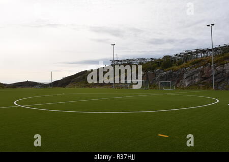 Norwegen, Lofoten, Svolvaer, Henningsvaer, Heimøy, Hellandsøya, Fußballplatz, Fußball, Sport, Tor, Fußballtor, Markierung, Rasun, Kunstrasen, Feld Foto Stock