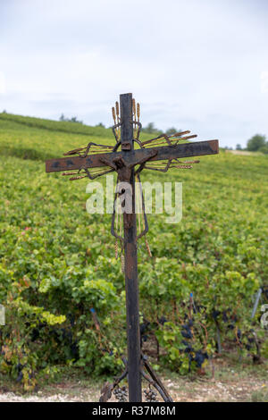 Vigneti Champagne nella Côte des Bar area dell'Aube. Francia Foto Stock