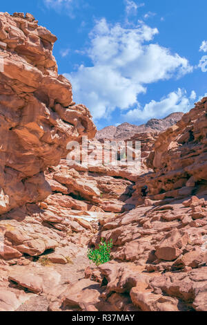 Canyon Colorato a Nuweiba Dahab Foto Stock