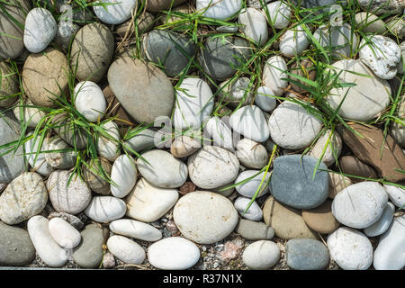 L'immagine di arrotondati pietre lisce di varie forme e dimensioni con lame di verde di erba da sopra, da utilizzare come sfondo. Foto Stock