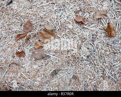 Asciugare i trucioli di legno con foglie di autunno. I nastri sono di colore bianco e giallo con foglie di faggio. Foto Stock