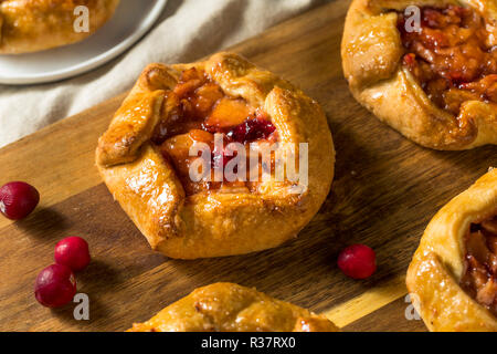 Dolci fatti in casa a base di mirtillo palustre Apple Tart pronto a mangiare Foto Stock