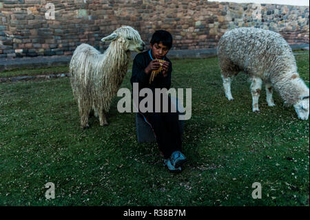 Ragazzo peruviano seduto con llama e giocando sulla panpipe uno del Cusco, Perù. Foto Stock