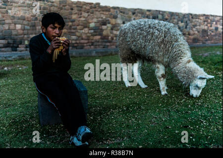 Ragazzo peruviano seduto con llama e giocando sulla panpipe uno del Cusco, Perù. Foto Stock