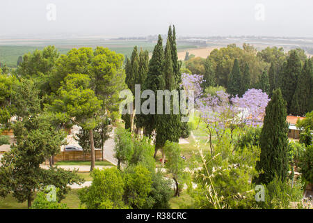 La fertile Valle di Jezreel preso dalla storica Tel Megiddo in bassa Galilea Israele. Questo è il luogo di molte battaglie antiche Foto Stock