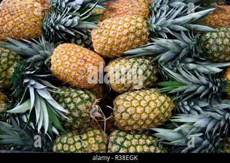 Ananas costaricano, file accatastate di ananas freschi mature crude coltivati localmente in un mercato agricolo di produzione in Costa Rica, America Centrale Foto Stock