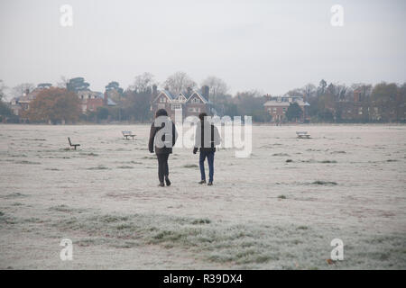 Londra, Regno Unito. 22 Novembre, 2018. Wimbledon paesaggio coperto di brina su un freddo mattino come le temperature sono previsioni di credito di caduta: amer ghazzal/Alamy Live News Foto Stock