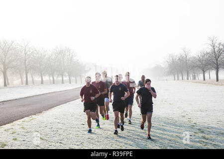 Windsor, Regno Unito. 22 Novembre, 2018. Treno di soldati in pesanti gelo e condizioni di nebbia a fianco della lunga passeggiata in Windsor Great Park. Dopo il freddo della notte dal febbraio si era diffusa la brina e il congelamento di nebbia in Berkshire questa mattina ma le temperature sono attesi a salire per un paio di giorni da domani a più temperature normali per il mese di novembre. Credito: Mark Kerrison/Alamy Live News Foto Stock