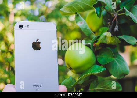 HALMSTAD, Svezia - Agosto 9, 2018: Concetto di immagine di donna di mano azienda nuovo bianco o argento apple iphone se vicino al vero melo con frutti maturi in giardino. Messa a fuoco selettiva, sfondo sfocato Foto Stock