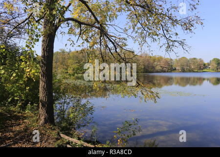 Drammatica riflessione sul lago in autunno in Canada. Foto Stock