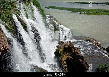 ID00695-00...- Idaho Falls Creek Falls tumbling nel fiume Snake in Swan Valley. Foto Stock