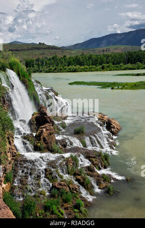 ID00698-00...- Idaho Falls Creek Falls tumbling nel fiume Snake in Swan Valley. Foto Stock