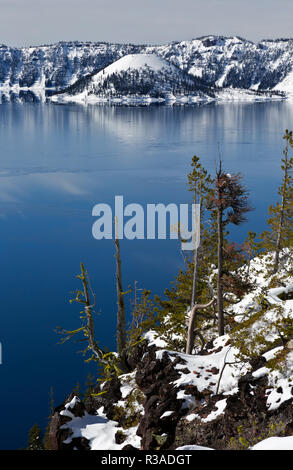 O02449-00...OREGON - Wizard Island visto dal Cleetwood Cove al parco nazionale di Crater Lake. Foto Stock